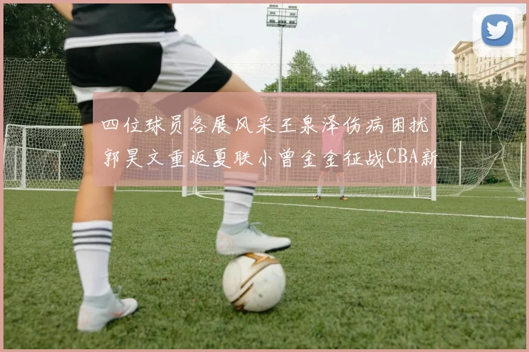 四位球员各展风采王泉泽伤病困扰郭昊文重返夏联小曾金金征战CBA新赛季