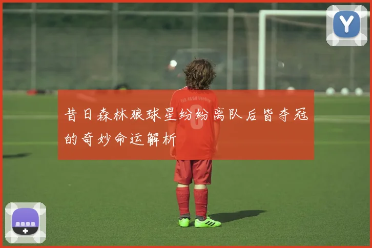 昔日森林狼球星纷纷离队后皆夺冠的奇妙命运解析