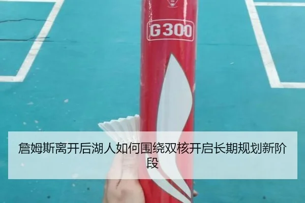 詹姆斯离开后湖人如何围绕双核开启长期规划新阶段 | LDsports
